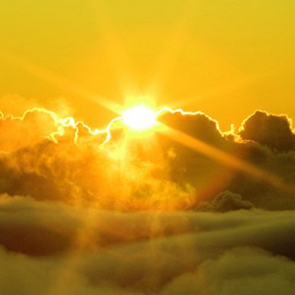 Meet your Posher, Glorious Sunshine!